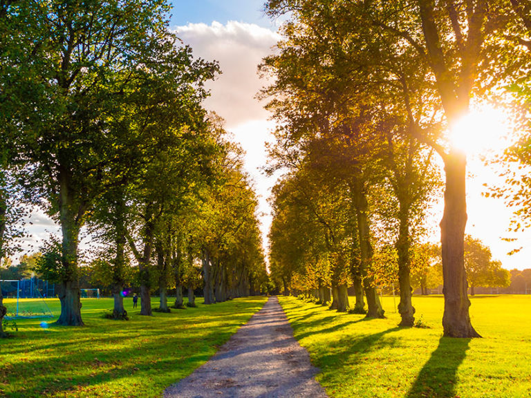 ProtecciónAmbiental